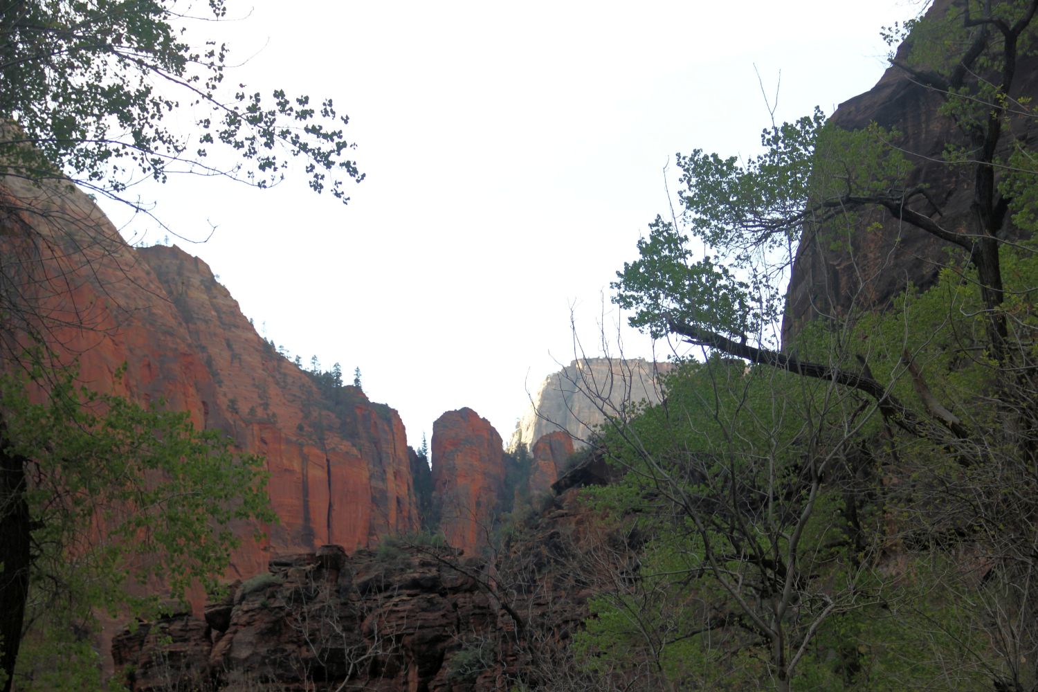 Riverside Walk Trail 